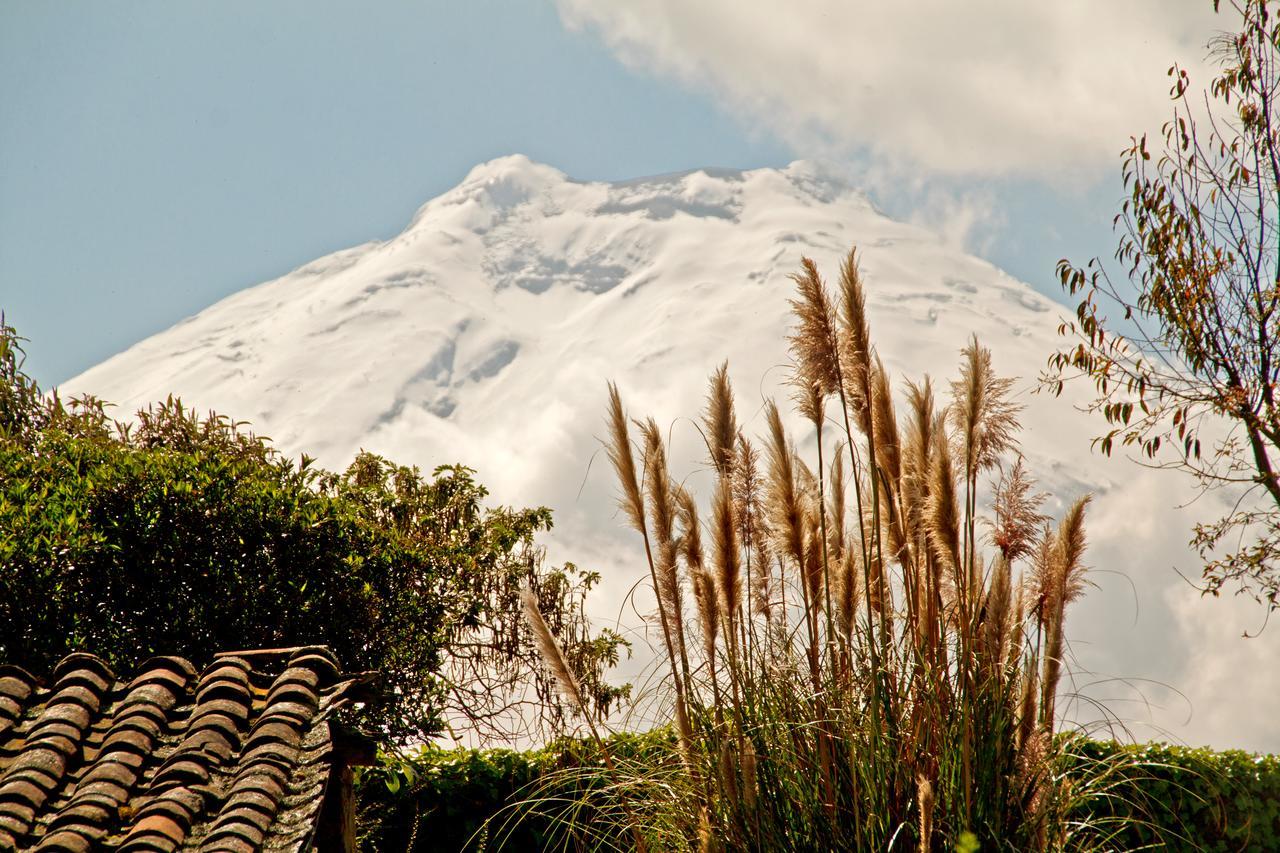 Hacienda San Agustin De Callo Lasso Kültér fotó